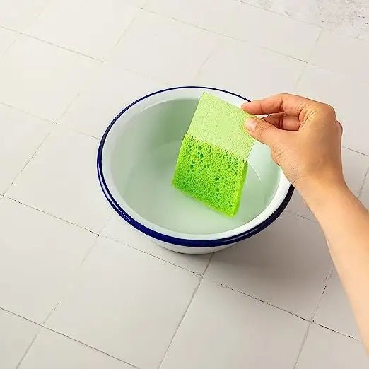 Re:gn Magic Compressed Plant-Based Sponges (5-Pack)
